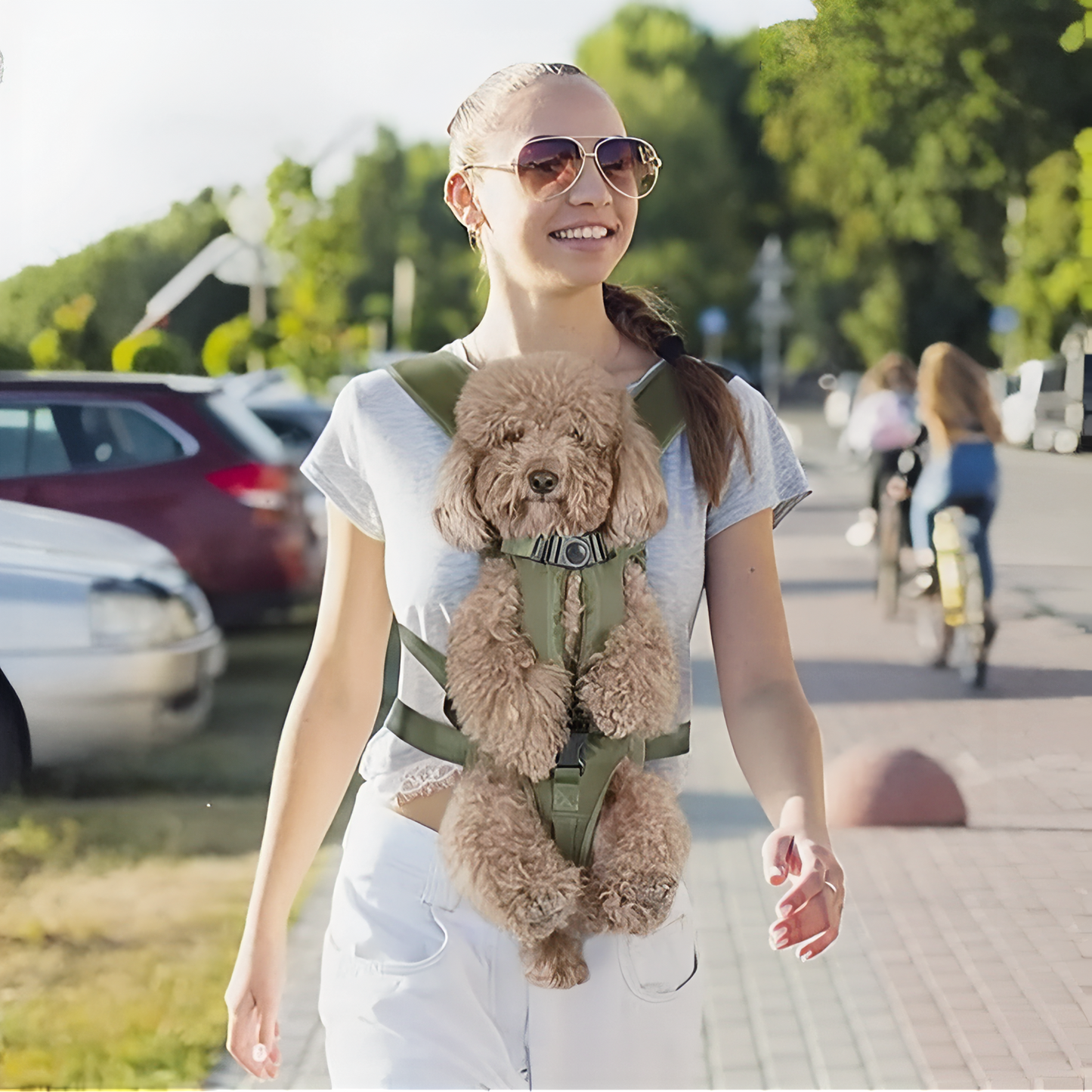 Porte Chien Ventral Randonnée