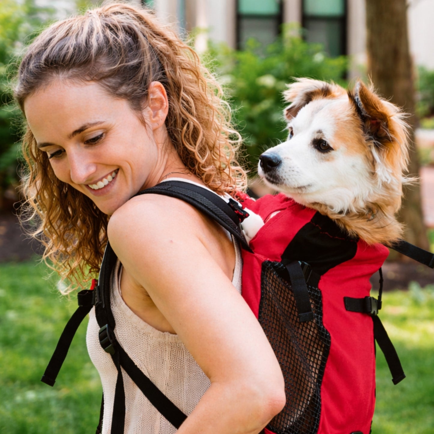 Sac Porte Chien Randonnée